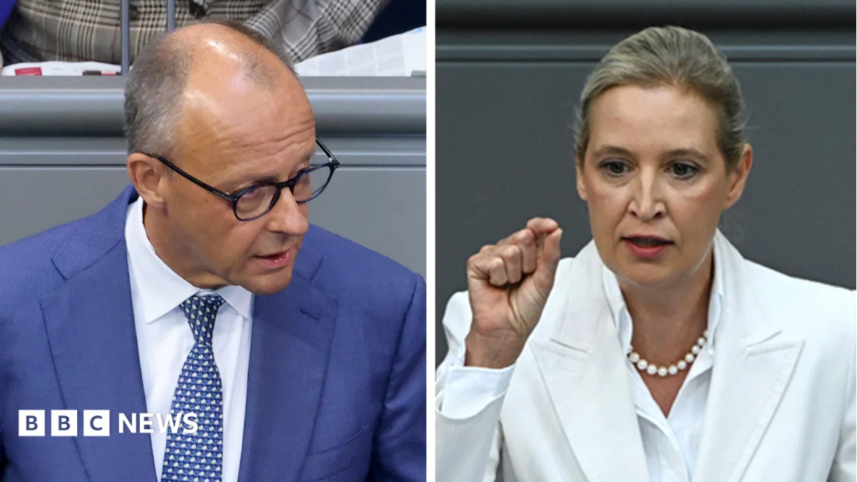 Germany's Merz attacks AfD in parliament after far